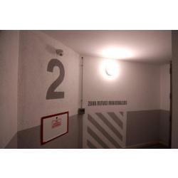 IMG 12
